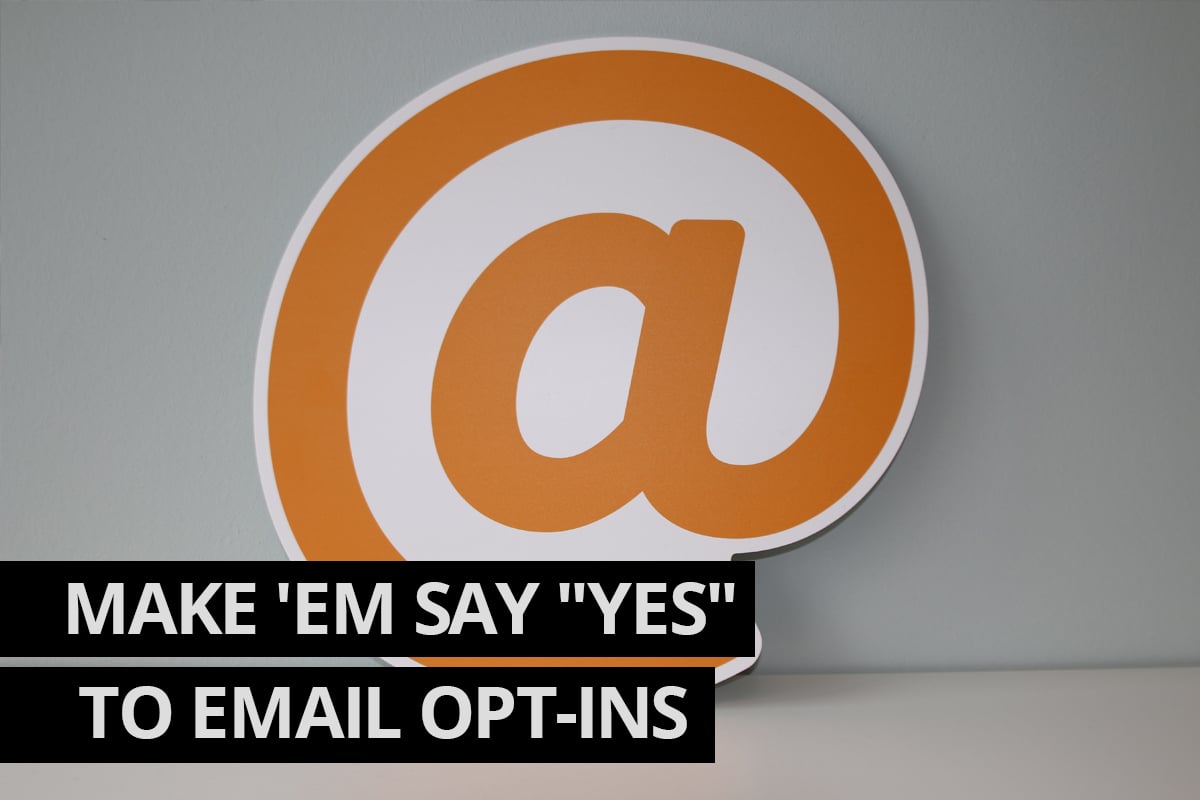 Email Opt-in Cowlick Studios Digital Marketing Windsor