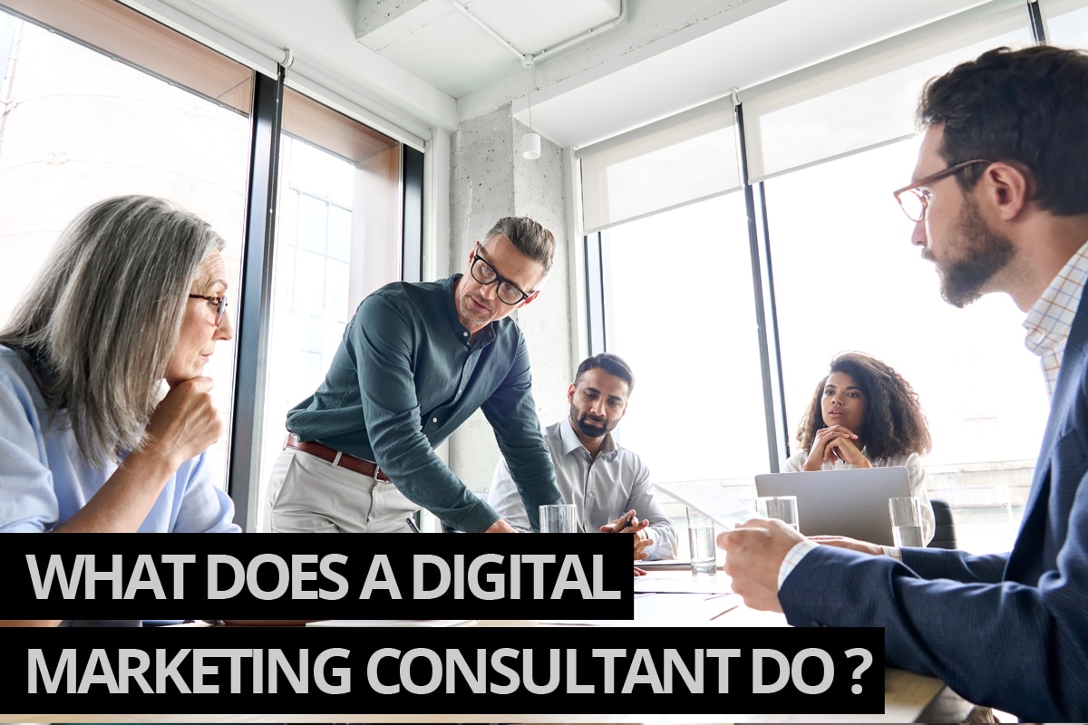 Digital Marketing Consultant